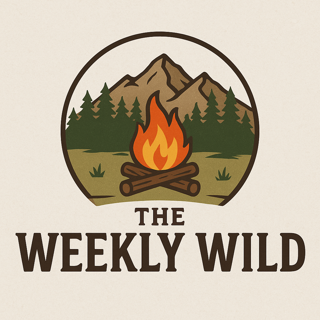 What to pack for your next camping trip