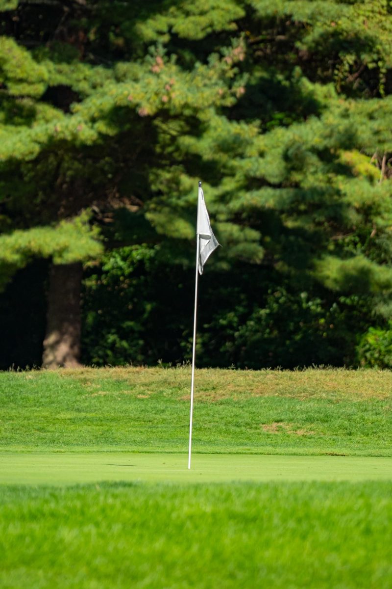 Boys County Golf