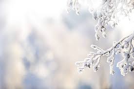 The affects of winter